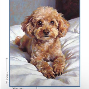 May include: A framed print of a poodle dog lying on a white surface. The dog has light brown fur and dark eyes. The print is 20 inches high and 16 inches wide.