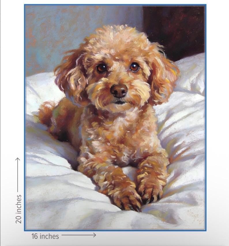May include: A framed print of a poodle dog lying on a white surface. The dog has light brown fur and dark eyes. The print is 20 inches high and 16 inches wide.