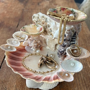 Jewelry Seashell Display {Gold Detailing}
