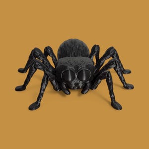 Peut inclure: Figurine de grande araignée noire en trois dimensions, avec huit pattes et de grands yeux ronds. Le corps et les pattes de l'araignée sont texturés, sur fond orange uni. Objet décoratif pour Halloween ou autre.