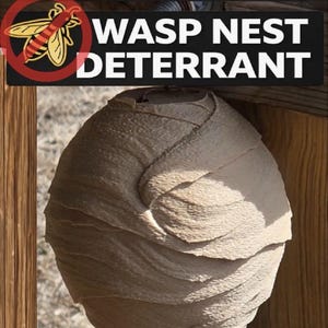May include: A realistic wasp nest deterrent. The image shows a light brown, paper-like wasp nest replica. The text at the top reads "REALISTIC" in gold letters. Below, the text "WASP NEST DETERRENT" is displayed with a red wasp symbol.
