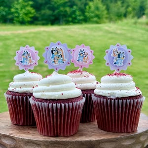 12 Bluey Cupcake Toppers, Custom Party Decorations, Kids Birthday Party, Cartoon Cupcake Picks, Bluey Themed Party Supplies