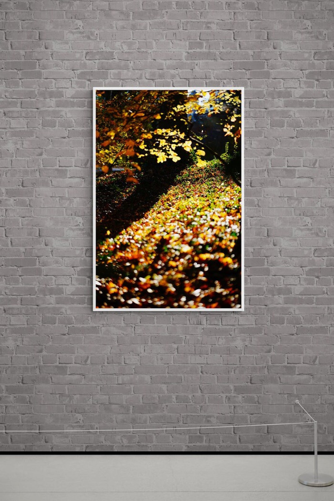 Framed Original Photograph, Wall Art, Central Park Etsy