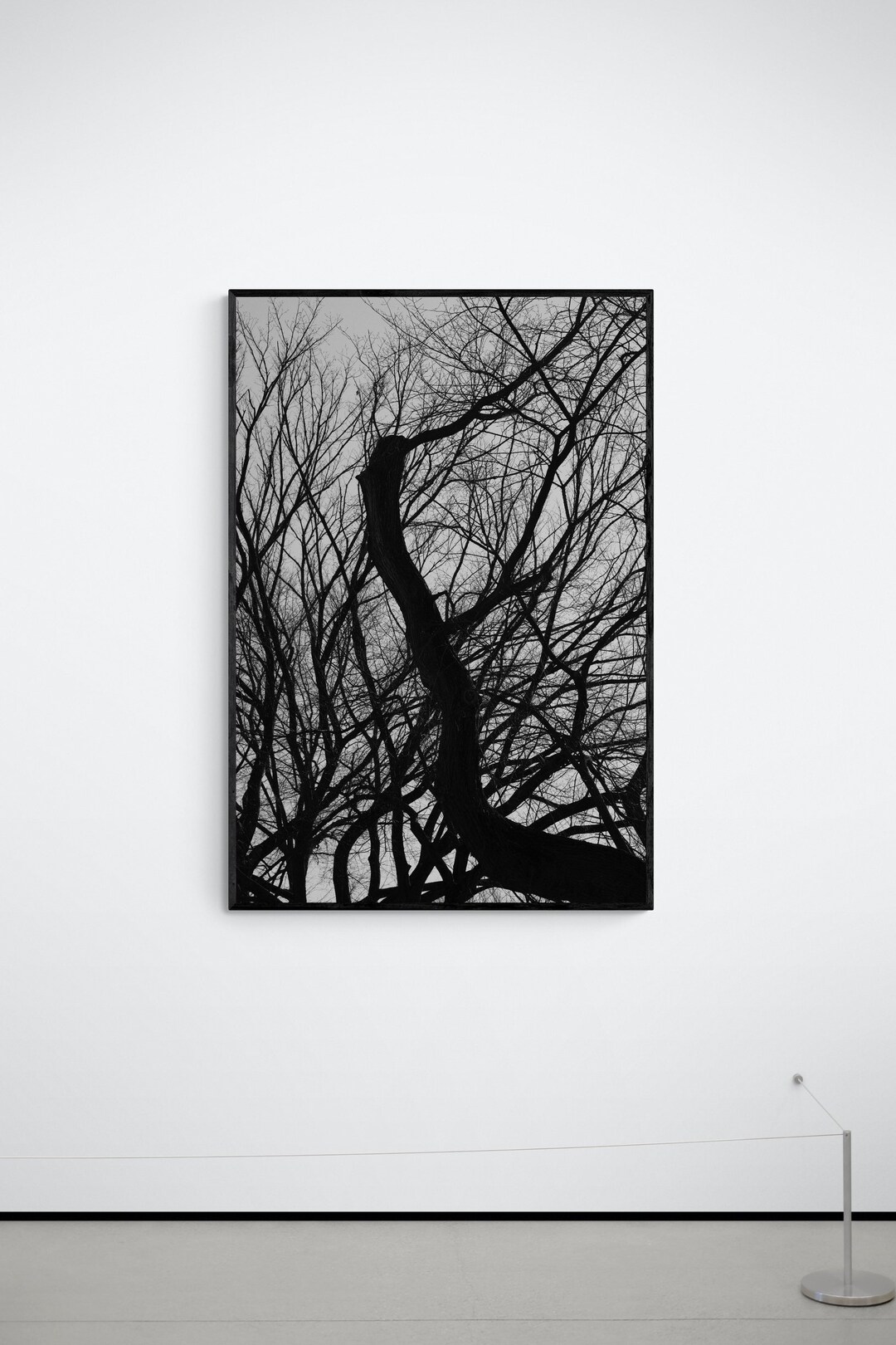 Central Park Tree New York Photograph on Canvas Wall Decor Etsy