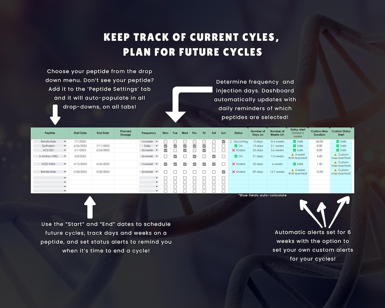 K&ouml;nnte beinhalten: Ein digitales Dashboard mit einer t&uuml;rkis-wei&szlig;en Tabelle, die Daten zur Zyklusverfolgung enth&auml;lt, mit dem Text "KEEP TRACK OF CURRENT CYLES, PLAN FOR FUTURE CYCLES". Anweisungen und Pfeile heben Schl&uuml;sselfunktionen wie Peptidauswahl hervor.
