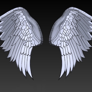 May include: A pair of white angel wings with detailed feather patterns. The wings are rendered in a 3D style, giving them a realistic appearance.