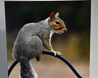 Biglietto d'auguri con scoiattolo grigio occidentale: simpatica foto di animali selvatici