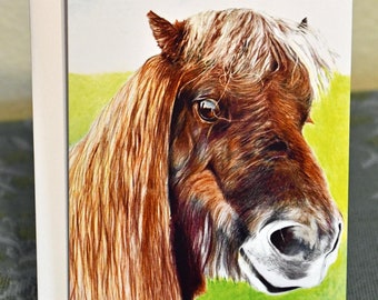 Biglietto di auguri, cavallo in miniatura che risponde al nome Little Vincent.