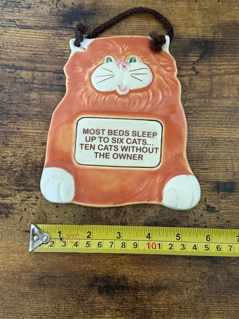 May include: Orange ceramic cat-shaped wall hanging with a brown cord for hanging. The cat has white paws, a white face, and green eyes. Text on the plaque reads: "MOST BEDS SLEEP UP TO SIX CATS... TEN CATS WITHOUT THE OWNER."