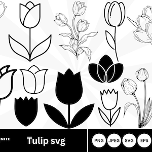Tulip SVG Bundle: Spring Flower Clipart, Vector Cut Files (Digital Download)