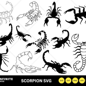 Scorpion Silhouette SVG: Tribal Animal Clipart (Digital Download)