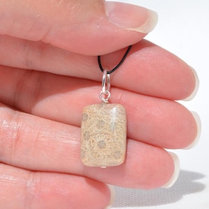Op de afbeelding: Een rechthoekige hanger van beige fossiel koraal met een natuurlijke poreuze textuur en een stervormig patroon. De steen is bevestigd aan een zilverkleurig metalen oogje en hangt aan een dun zwart koord, wat een neutrale uitstraling geeft.