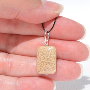 Op de afbeelding: Een rechthoekige hanger van beige fossiel koraalsteen met een gedetailleerd bloemachtig patroon. De steen is bevestigd met een zilverkleurig metalen oogje en hangt aan een dun zwart koord, wat zorgt voor een eenvoudig ontwerp van de ketting.