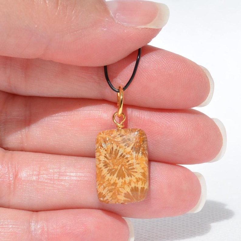 Op de afbeelding: Een rechthoekige hanger met een beige en bruine gefossiliseerde koraalsteen met een stervormig patroon. De steen is gevat in een goudkleurige draadomwikkeling met een klein lusje aan de bovenkant, hangend aan een dun zwart koord.
