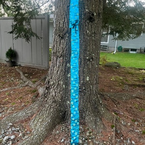 Bo Staff Case _ Teal with Gold Medallions