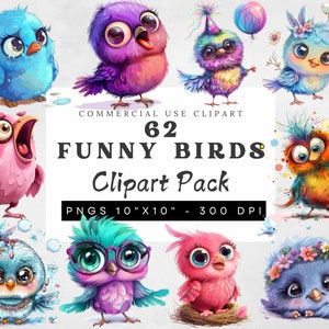 May include: A set of 62 digital clipart images featuring colorful, cartoon birds with various expressions and accessories. The birds are 10 inches by 10 inches and 300 DPI.