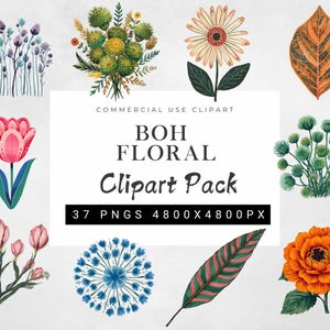 Boho Floral Clipart Bundle | Bold Flower PNG Elements | Retro Bohemian Floral Graphics