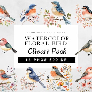 Scandinavian Folk Bird Clipart Bundle | Watercolor Floral Bird Illustrations | High-Quality PNGs for Crafts & Journals | Digital Download
