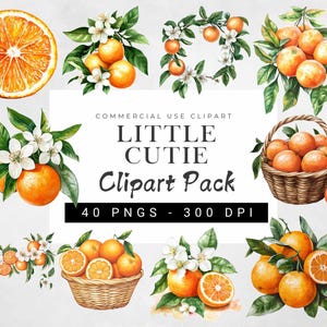 Little Cutie Clipart, Aquarell Orange mit Grün, süßes Citrus Baby Shower Theme, perfekt für Kinderzimmer Dekor, Scrapbooking & DIY Crafts