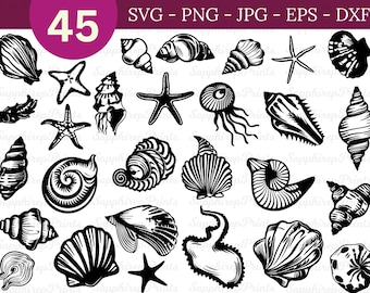 scallop clip art, shell svg, sea life svg, ocean life svg, mugs cups svg png, beach svg bundle, seashell clipart, Under The Sea Svg Bundle
