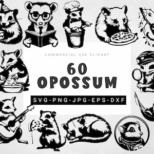 Opossum SVG-Bundle, Opossum Png, Opossum Clipart, Opossum Png, Wildtiere Png, Opossum Cut File Cricut, Tier Design, Opossum Design