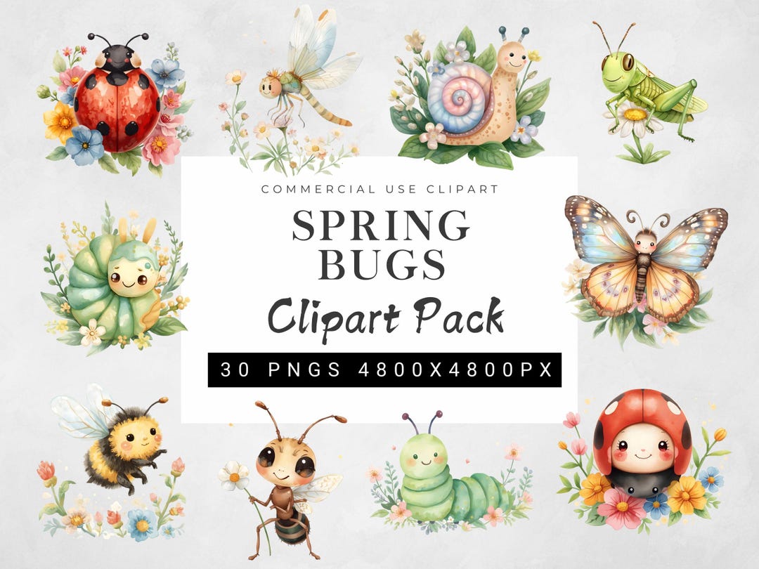 Spring Bug Artwork Spring Bugs Clipart Bundle | Watercolor Insects and Flowers PNG | Cute ...
