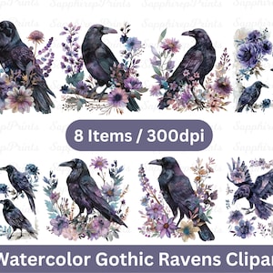 Aquarel gotische raven clipart, donkere fantasie aquarel heks png-formaat, zwarte raaf png, gotische vogel png, transparante achtergrond