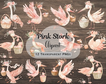 Pastel Pink Stork Baby Girl Clipart Bundle, 12 Transparent Stork PNG Images, Baby Girl Arrival Bundle, Baby Shower Clipart, Digital Download