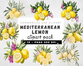 Watercolor Lemon Clipart Bundle, Lemon graphics illustration, Watercolor Lemon Wreath, Olives Clipart, Lemon PNG, Summer Clipart
