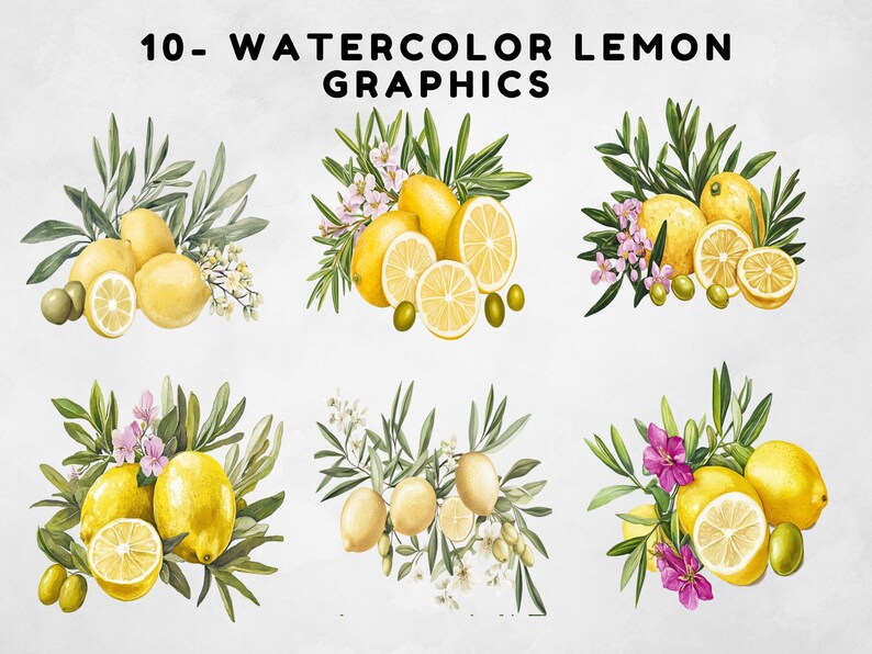 Watercolor Lemon Clipart Bundle, Lemon Graphics Illustration ...