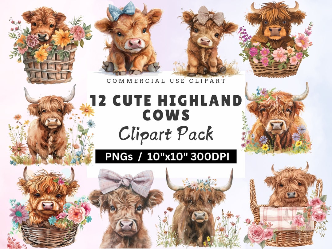 Watercolor Cute Highland Cow Clipart Bundle, High Quality Png's, Junk ...