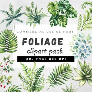 Bundle de cliparts feuillage, verdure mariage, bordure de feuilles, Nature, feuille de Monstera, verdure des cliparts, feuilles vertes Png
