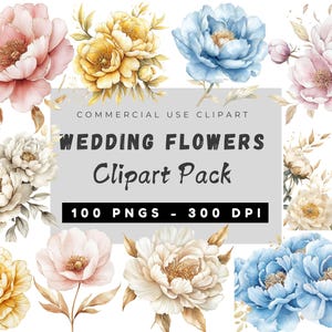 Hochzeit Blumen Clipart Bundle, 100 weiche Aquarell Pfingstrosen PNG Clipart, Floral Frühling Hochzeit Clipart, Blumen Brauteinladung Pfingstrose PNG