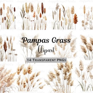 14 Clipart herbe de la pampa, lot de cliparts Boho, Clipart mariage Boho, fleurs séchées, travaux manuels imprimables en papier numérique, Image de haute qualité 300 DPI