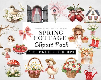 Spring Cottagecore Clipart i cyfrowe papiery Seamles, Strawberry Clipart, Rustic Red Farm Png, Daisy Flower, Coquette Bow Png, Scrapbooking