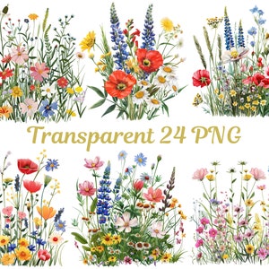 Wildflower Meadow Clipart, Summer Floral Nature Images, Meadow Wildflower Png, Wild Flowers for print, Wildflower Clipart