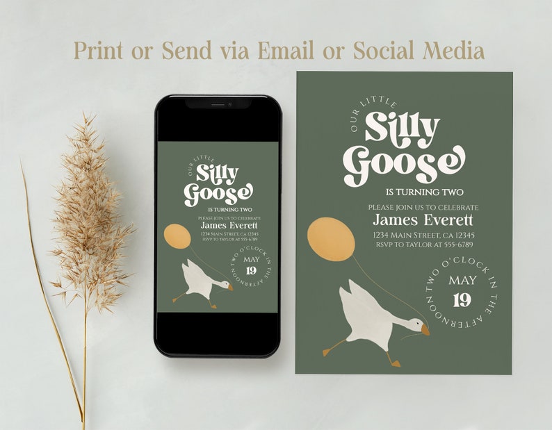 Silly Goose Birthday Invitation, Boy 2nd Birthday Invite, Farm Animal Birthday, First Birthday Goose Invite, Editable, Template image 7