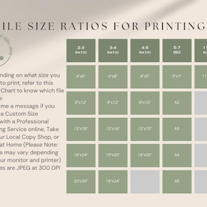 May include: A chart titled "FILE SIZE RATIOS FOR PRINTING" with a logo for "the lil dills shop". The chart displays various print sizes in inches, including 4x6, 8x12, 12x18, 16x24, and 20x30, with corresponding ratios and notes about custom sizes and printing services.