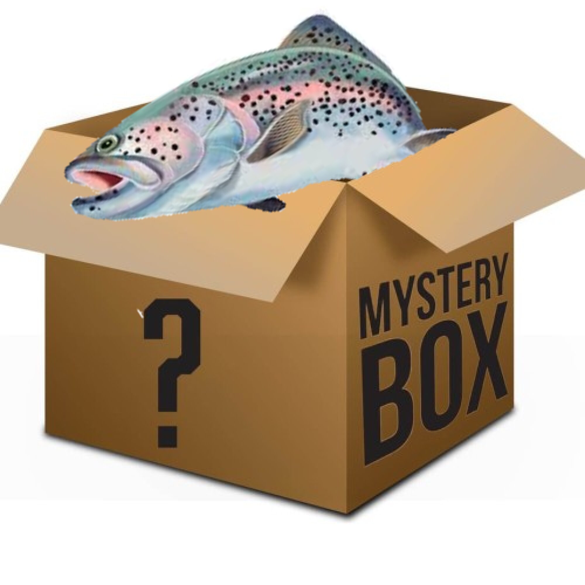 Trout Mystery Bait and Tackle Box 