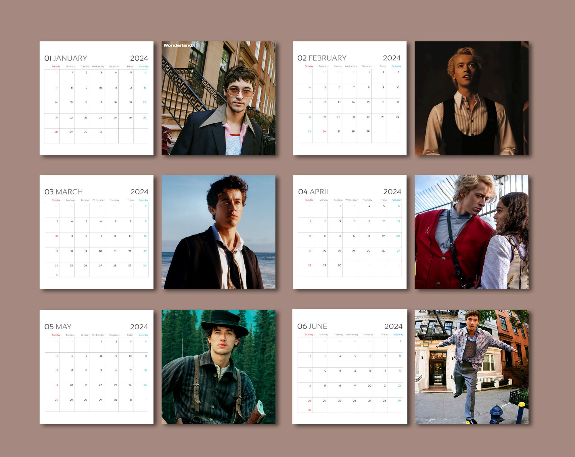 Tom 2024 calendar, Blyth 2024 wall calendar,Celebrity calendar 2024 sold by Entrance Ami SKU