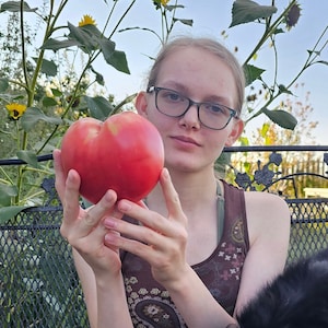 May include: A large, red tomato held in front of a person. The person is wearing glasses, a brown tank top, and camouflage pants. A black and white guinea pig sits nearby. The background includes sunflowers and a metal bench.