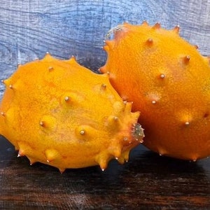 Kiwano, African Horned Cucumber, Jelly Melon Seeds