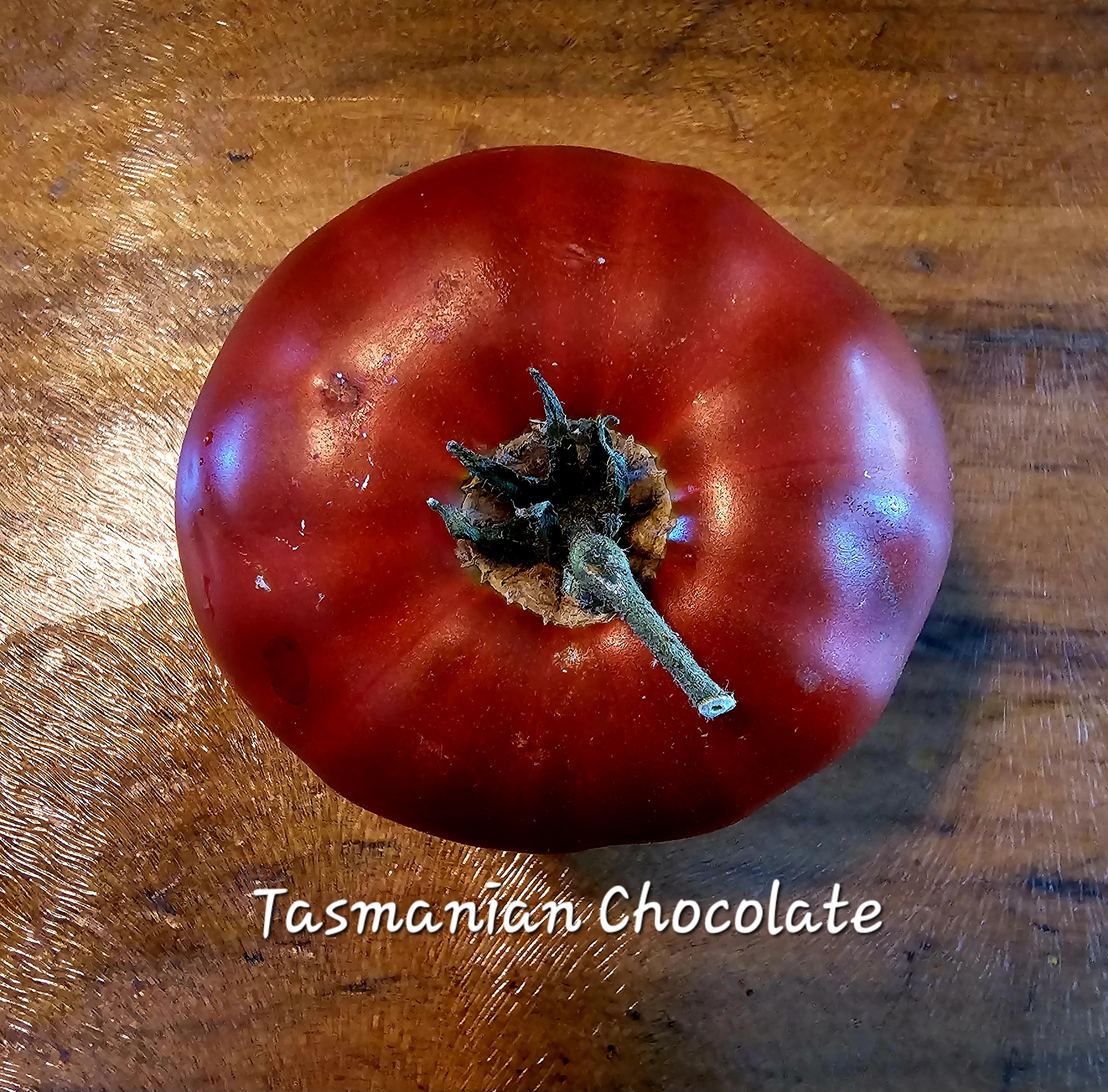 Tasmanian Chocolate Dwarf Tomato, 10 Seeds - Etsy