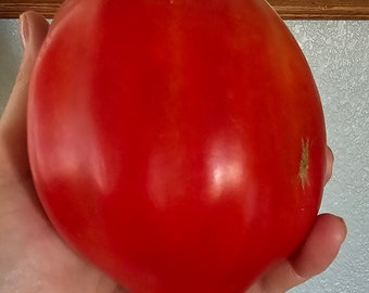 Goat Bag Tomato, 10 seeds