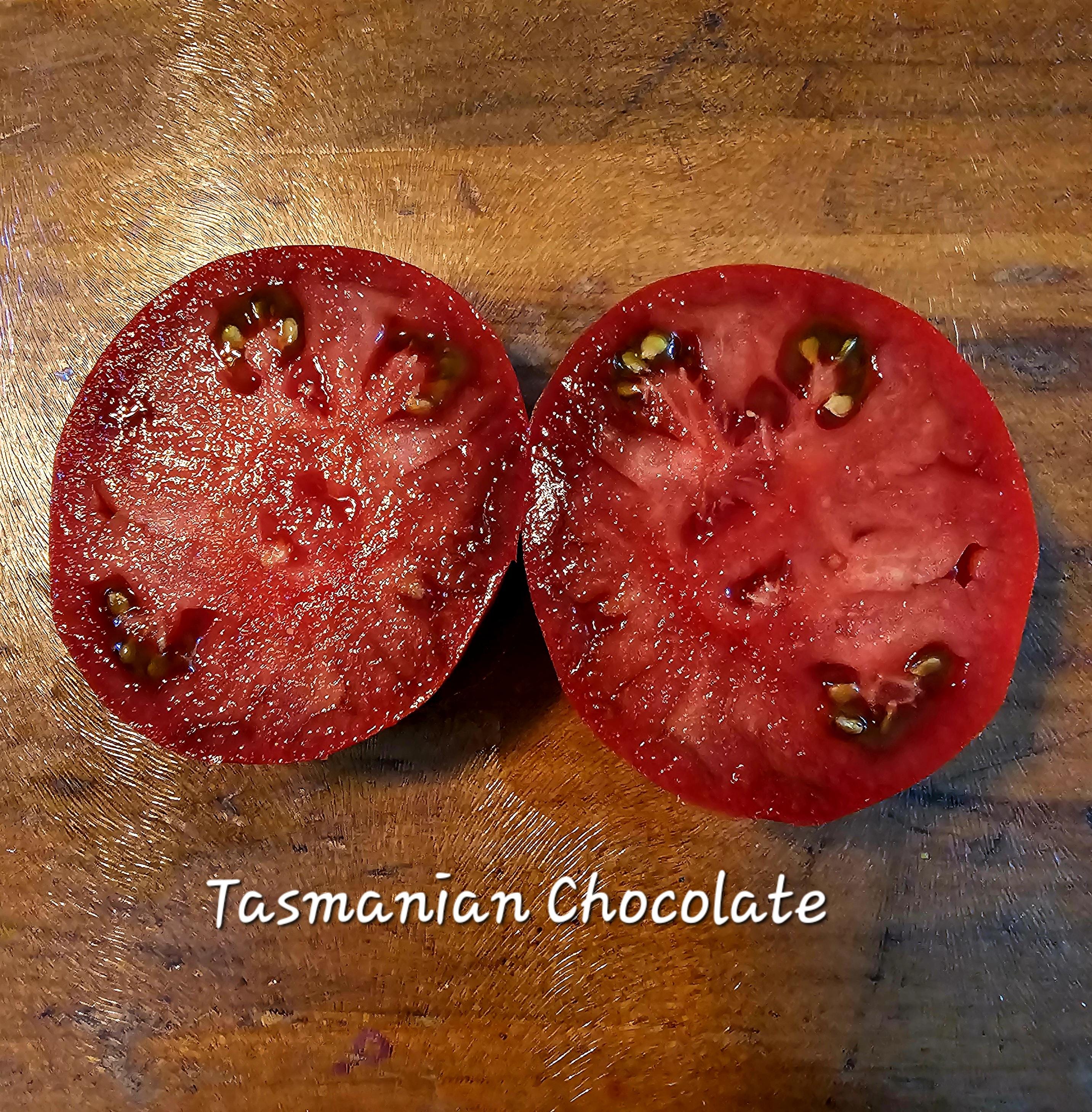 Tasmanian Chocolate Dwarf Tomato, 10 Seeds - Etsy