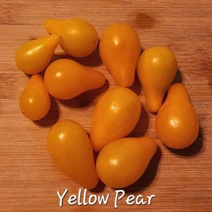 Yellow Pear Tomato Seeds