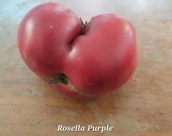 May include: A Rosella Purple tomato with a deep reddish-purple skin and a distinctively lobed, irregular shape. The surface of the tomato shows a small area of brown scarring near the center, and the text Rosella Purple is printed below.