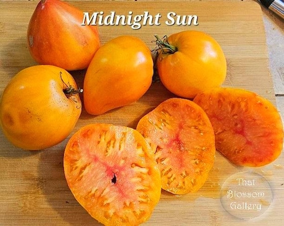 Midnight Sun Tomato, 10 seeds
