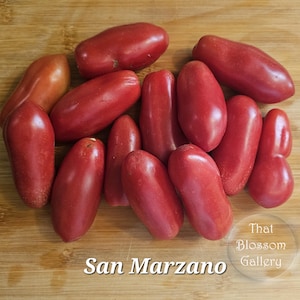 San Marzano Heirloom Tomato Seeds