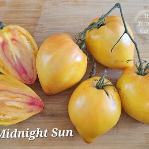 May include: Five yellow and orange heirloom tomatoes, called Midnight Sun, on a wooden surface. The tomatoes are halved, showing the inside of the fruit.